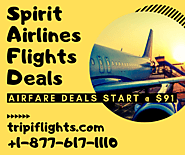 Spirit Airlines Flights Tickets - Tripiflights | Must See!