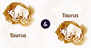 Taurus and Taurus – Compatibility in Love, Sex, Marriage, Relationship