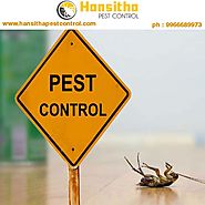 Best Pest control services