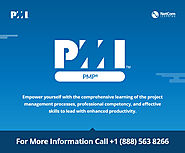 Project Management Professional (PMP) Certification Free Assessment
