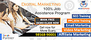 Digital Marketing Course in Chandigarh