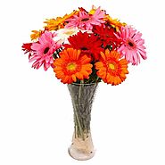 Multi Colorful Gerberas Arranged in Glass Vase