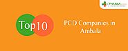 Top 10 PCD Pharma Companies in Ambala | Pharma Franchise in Ambala