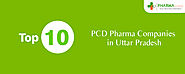Top PCD Pharma Companies in Uttar Pradesh | Pharma Franchise In UP