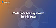 Metadata Management in Big Data Systems: A Complete Guide