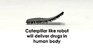 A Soft and Tiny Caterpillar like Robot Will Take Medicines to the Human Body