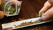 Saarland sagt "nein" zu legalem Cannabis