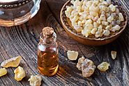 Frankincense Essential Oil - Discover the Rich History and Healing Benefits of Precious Frankincense Essential Oil