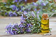 Rosemary Essential Oil - The Secret Benefits of Rosemary Essential Oil: Boost Your Brainpower and Improve Your Well-B...