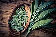 Sage Essential Oil - 5 Amazing Benefits of Enjoying Sage in Your Home - Beautiful Souls Life