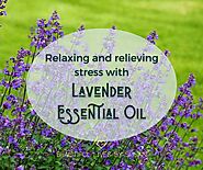 The Lure of Lavender Essential Oil to Enhance our Lives | Beautiful Lives
