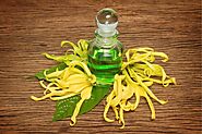 Ylang-Ylang Essential Oils - Beneficial Uses of Ylang-Ylang • Cananga Odorata