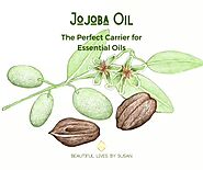 Jojoba Oil • the Perfect Carrier for Essential Oils • Beautiful Lives by Susan