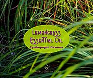 Lemongrass Essential Oil • Cymbopogon Flexuous • Beautiful Lives by Susan