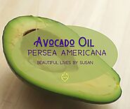 Avocado Oil Persea Americana • Beautiful Lives by Susan