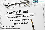 Why Does CBP Ask For Customs Surety Bond and Continuous Import Bond?