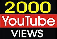 I will give you 2000 High Retention YouTube Views and 100 Likes for $13 : Maisha