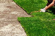 What are the Uses of Synthetic Grasses?