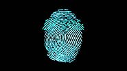 Eight new smartphones feature Fingerprint Cards biometric tech | Biometric Update