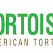 World Turtle Day Celebrations