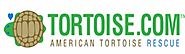 World Turtle Day Celebration