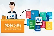 Dot Net Web Applications Development Company, ASP.Net Services