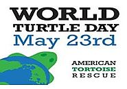 Celebrate World Turtle Day
