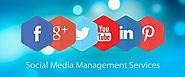 Find The Best Business Online: Social Media Management Tools To Grow Your Business with Sendible,Viraltag,Socialpilot...