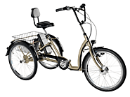Best Adult Tricycle 2019 - Best Adulte Trike: Three Wheel Bike for Seniors