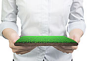 What to Consider When Selecting Synthetic Grass in Vacaville