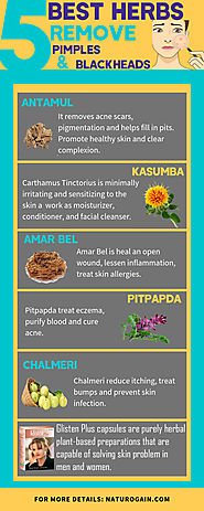 5 Best Herbs to Remove Pimples and Blackheads Forever