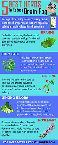 5 Best Herbs to Reduce Brain Fog Naturally