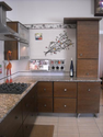 Kitchens in Sarasota | Cabinet Solutions - Bradenton Cabinets