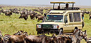 Book 5 Days Join Group Safari in Tanzania
