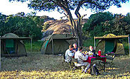 Enjoy 16 Days Uganda and Tanzania Wildlife Safaris