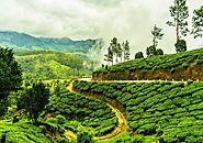Rejuvenate Your Soul with the Pure and Fresh Air of Ooty