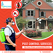 Looking for Pest Control Services? Want... - Brightvision Solutions | Facebook