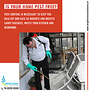 Is your Home Pest Free? Pest Control is... - Brightvision Solutions | Facebook