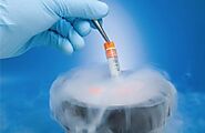 Embryo Freezing Cost in India