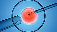 Fertility Advice and the Pointers about IVF