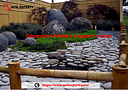 Decorative Pebbles Supplier in India Anil Exports Manufacturer