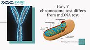 How Y-Chromosome DNA Testing differs from mtDNA test | FaceDNAtest
