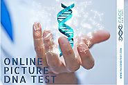 Blog - Face DNA Test