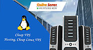 Business Need to Investment in Server Hosting – Onlive Server – Pro News Institute