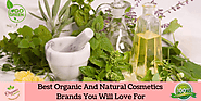 Best Organic and Natural Cosmetics Brands