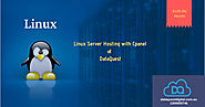Economy Linux Hosting With cPanel | Linux Server Hosting Australia $129.95