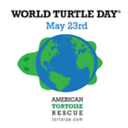 American Tortoise Rescue