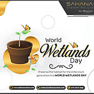 World Wetlands Day