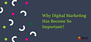 Why Digital Marketing Has Become So Important?