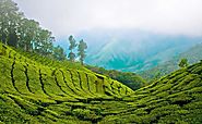 Kerala Tour Package | Destinations To Visit In Kerala | Honeymoon Destinations In Kerala